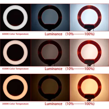 18 colių FT-R480 Bi-color fotografijos apšvietimo 3200-5800K 48W Led Žiedo Šviesos Lempos Trikojis Stovas Veidrodis Telefono Kamera