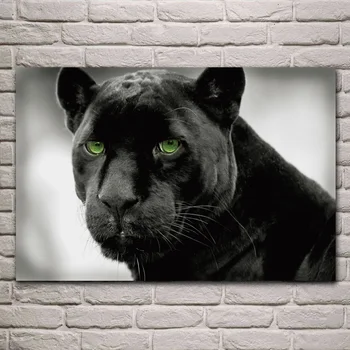 Gyvūnų Panthers pasirinktinio spalva juoda pantera žalia akių arti pažvelgti kambarį Namų meno Dekoro medžio rėmo audinio Plakatai EX370
