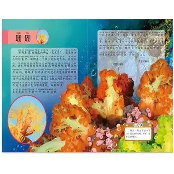10 Knygų/Pak Iliustruotas Gyvūnų Mini - Encyclopeadia su Pinyin Vaikams Mokytis Kinų Supaprastinta Simbolių