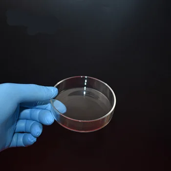 5vnt /daug Aukštos Kokybės Stiklo Petri Lėkštelėje Lab Plokštelės Bakterijų, Mielių Skersmuo 60MM