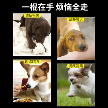Raketės Mušti Šunį, Lazdą Šunų Mokymo Plakti Šuo Plakti, Šunų Mokymo, Lazda Mušti Lazdą Dog Tra