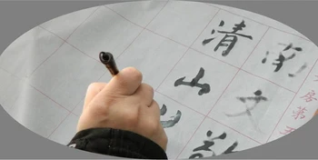100g pen rašalo Vilnonių & Weasel plaukų Rašyti Teptuku Kinų juoda Tapyba tušu Kaligrafijos Teptuku dažai piešimo rinkinys ACS005