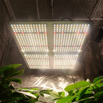 Augti Palapinė Quantum Tech Valdybos Pilnas Komplektas LED Grow Light 