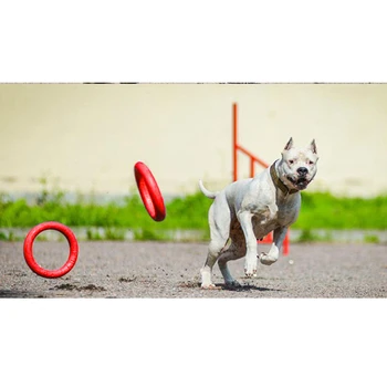 Šunų Žaislai Pet Plaukioja Diskai Interaktyvus Žaidimas, Žaisti Plūduriuojantis Žaislas Lauko Mokymo Žiedas Dog Puppy, Pet Produktų