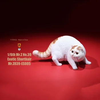 Mr. Z Nr. 039 Cat 1/6 Masto Dervos Egzotinių Beplaukiai katė modelis imitavimo modelį žaislas gyvūnų statinio modelį, 12 