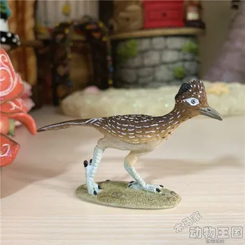 Mažas pvc pav modelis žaislas Roadrunner retas paukštis