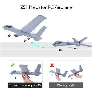 RC Plokštumos Z51 Predator Radijo Kontroliuoti RC Lėktuvo 2.4 G 2CH 660mm Sparnų ELP 