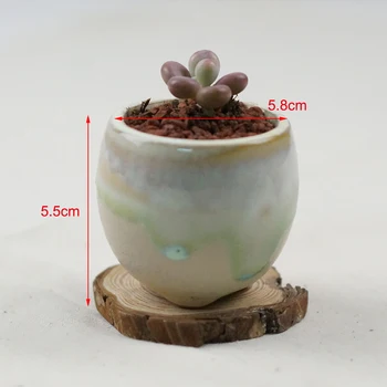 6pcs Sultingi Augalų Puodą Keramikos Nykščio Puodą Mini Kaktusas Gėlių Vazonas Mielas Dizainas Konteinerių Sodinamoji Bonsai Puodai Darbalaukio Ornamentu