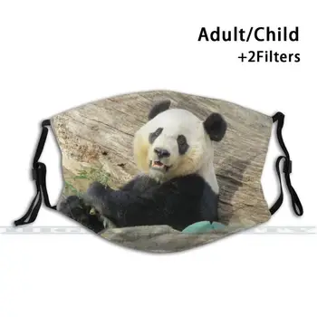 Giant Panda Bei Bei Nacionalinio Zoologijos Sodas Custom Design Suaugusiųjų Vaikų Apsaugos Nuo Dulkių Filtras Diy Mielas Spausdinti Skalbti Kaukė