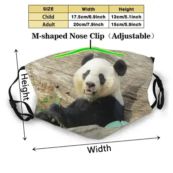 Giant Panda Bei Bei Nacionalinio Zoologijos Sodas Custom Design Suaugusiųjų Vaikų Apsaugos Nuo Dulkių Filtras Diy Mielas Spausdinti Skalbti Kaukė