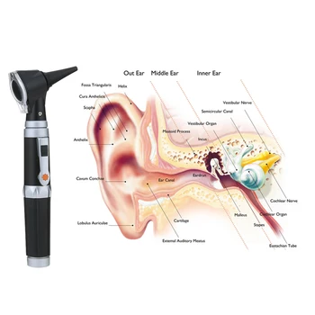 Carevas Ear Cleaner Otoscope 3X Tiesa Žiūrėti Visą Spektrą Namų Gydytojas, Ausų Priežiūros Diagnostikos Komplektas su 8 Patarimai, kaip Suaugusiųjų & Vaiką