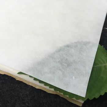 10sheets Kinijos Pusė Prinokusių Xuan Popieriaus Tirštėti Kinų Kaligrafija, Tapyba Šilkmedžio Popieriaus Pluošto Žibintų Ryžių Popieriaus Rijstpapier