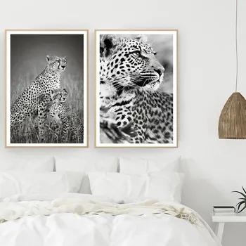 Cheetah Leopard Šiaurės Plakatai ir Spausdina Juoda Balta Gyvūnų Sienos Meno Tapybos Drobės Sienos Nuotraukas Kambarį Namų Dekoro