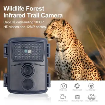 Mini Takas Camera 12MP 1080P HD Vandeniui Lauko Kamera Gyvūnijos Skautų Medžioklės Kamera su 60° Plataus Kampo Objektyvas