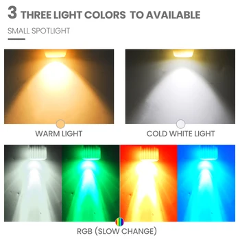 LED Spot Light AC220V Balta/Šiltai Balta/RGB LED Žemyn Šviesos Mini Patalpų Šviestuvai, Modernaus Simple Stiliaus Parduotuvės, drabužių Spinta, Spintos
