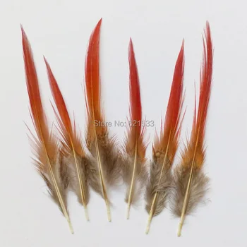100vnt/lot 4-6inches 10-15cm ilgio fazanų plunksnos,auksinių fazanų plunksnos, raudona nulenkti, dryžuotas plunksna, ir daug.