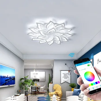 Naujas led Šviestuvo Gyvenimo liustra, Modernios Led Lubų Lempa Sietynas liustra apšvietimo miegamasis LED lubų šviestuvas lubų