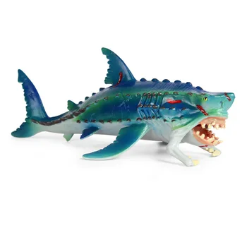 Giliavandenių Žuvų Gyvūnų Modelio Veiksmų Skaičius, Jūros Gyvūnų figūrėlių Kolekcija PVC Vaikų Pažinimo Žaislas