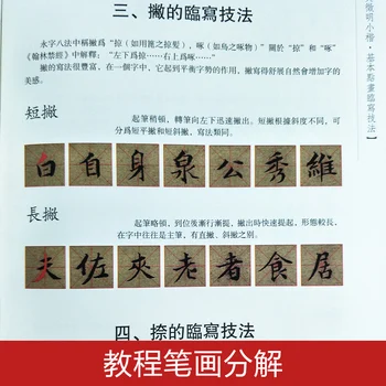 Reguliariai Scenarijus - Wen Zhengming į Mažyčius rankraščiai - studentų pradedantiesiems Paprasta Reguliariai Scenarijus copybook