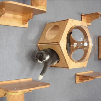 Prie sienos montuojamas katė laipiojimo rėmas katė medžio masyvo šešiakampe salono katė sienos tramplinas pet baldai