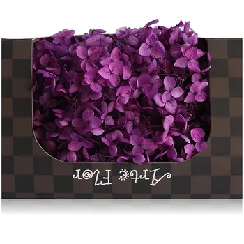20g/daug,Klasės Konservuoti Ana Hydrangea,Gamtos Šviežių Gėlių Galvos 