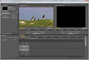 Premiere Pro CC 2020 Vaizdo Redagavimo Programinė įranga 