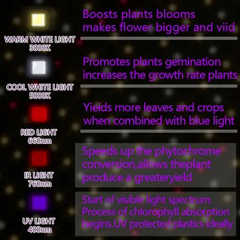 EnFun 120W240W quantum Led Grow Light valdybos lempa sėklos kambarinių Augalų IR UV visą spektrą Phytolamp raudonos šviesos jungiklis