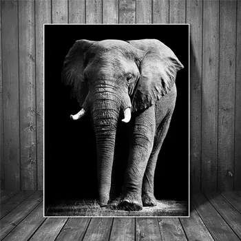 Afrikos Juoda ir Balta Dramblio Gyvūnų Drobė Paveikslų, Plakatų ir grafikos Sienos Menas Nuotraukas Cuadros už Kambarį Dekoro