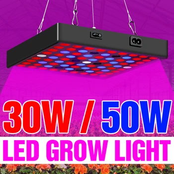 LED Grow Lempa Fitolampy Kambarinių Augalų Palapinė Gėlių Daigų AC 100-277 viso Spektro LED Lempos, 30W 50W Hydroponics Augti Lauke