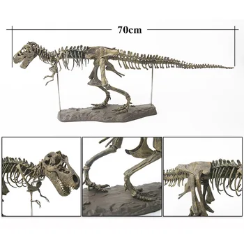 70cm Dinozaurų 4D Surinkti Kaulų Sprogimo Dragon Vaikų Žaislas Tyrannosaurus Iškastinio Skeletas Modeliavimas Gyvūnų Mokymo Modelį Dekoras