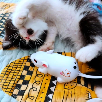 Naujausios Kačių Žaislas su USB Įkrovimo Baterija (akumuliatorius, Katė Kibinimas su Jutiklis Virš Uodegos, Jautrios Katės Touch