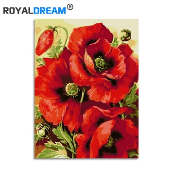 ROYALDREAM Raudona Europos Gėlė 