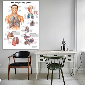 Schema Kvėpavimo Sistemos Anatomija Anatomija Diagramos Drobė Spausdinti Plakato Sienos Nuotraukas Medicinos studijų, Namų Dekoro