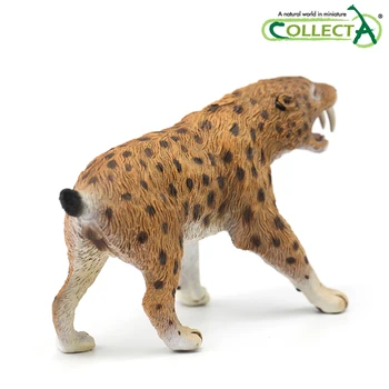 Originalus CollectA Smilodon saber-dantytų tigras Klasikinis Žaislai Berniukams Gyvūnų Skaičius Lėlės Modelio 88715