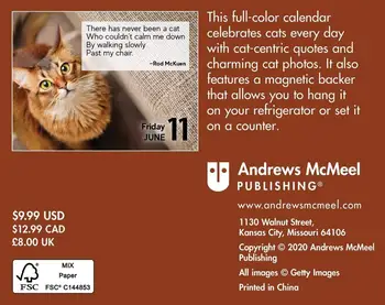 Katės 2021 Mini-kasdienis Kalendorius Vaikystės dovanų Vaikams Skaityti Knygos