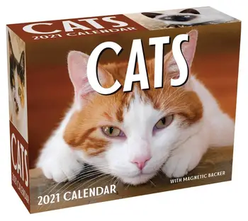 Katės 2021 Mini-kasdienis Kalendorius Vaikystės dovanų Vaikams Skaityti Knygos