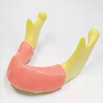 1 Gabalas, Dantų Implantai Praktikos Dantų Modelį su Imitacija Kaulų (Gręžimo) Minkšto Silikono Guma (Pjovimo/Siuvimo), apatinį Žandikaulį