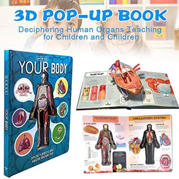 3D vaizdo Žmogaus Kūno Struktūrą, Knygos Anatomija Mokslo Mokymosi Vaikai Ankstyvojo Ugdymo Knygas Vaikams, Žaislai Atsitiktinai Dangtis