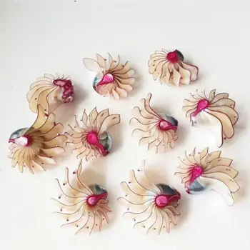 Gamtos myli shell sraigės Filipinų Rose akvariumas namų dekoro dovana, papuošalai vestuvių kolekcija jūros kriauklių filipinai